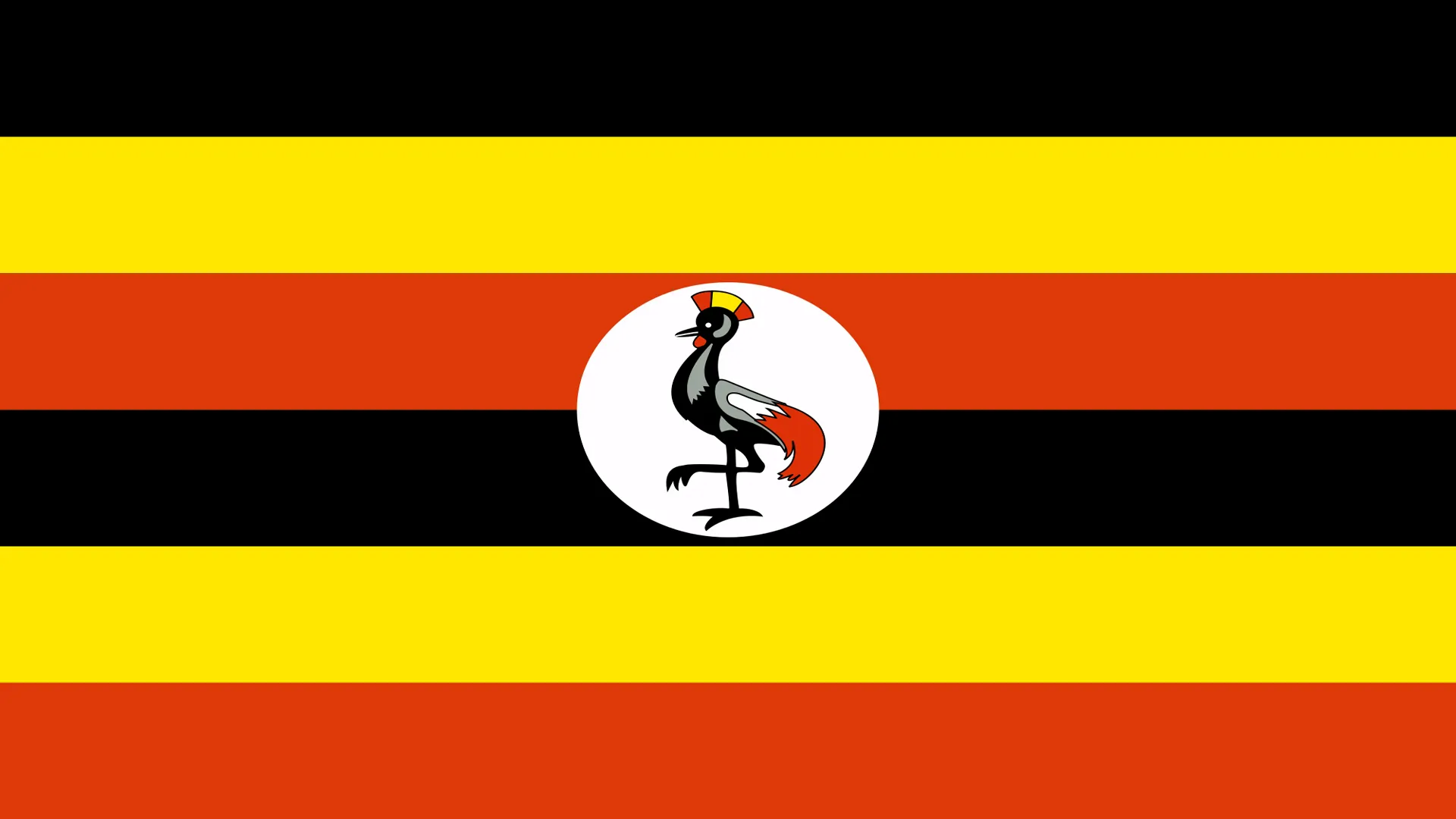 The Uganda flag showing its black, yellow and red stripes plus centered crested crane